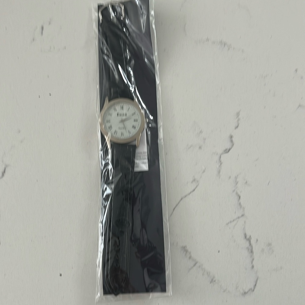 Eiger watch